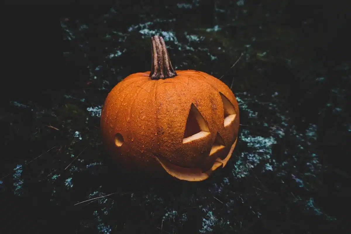 Freizeitparkweg geschmückt mit Kürbissen und Halloween‑Dekor